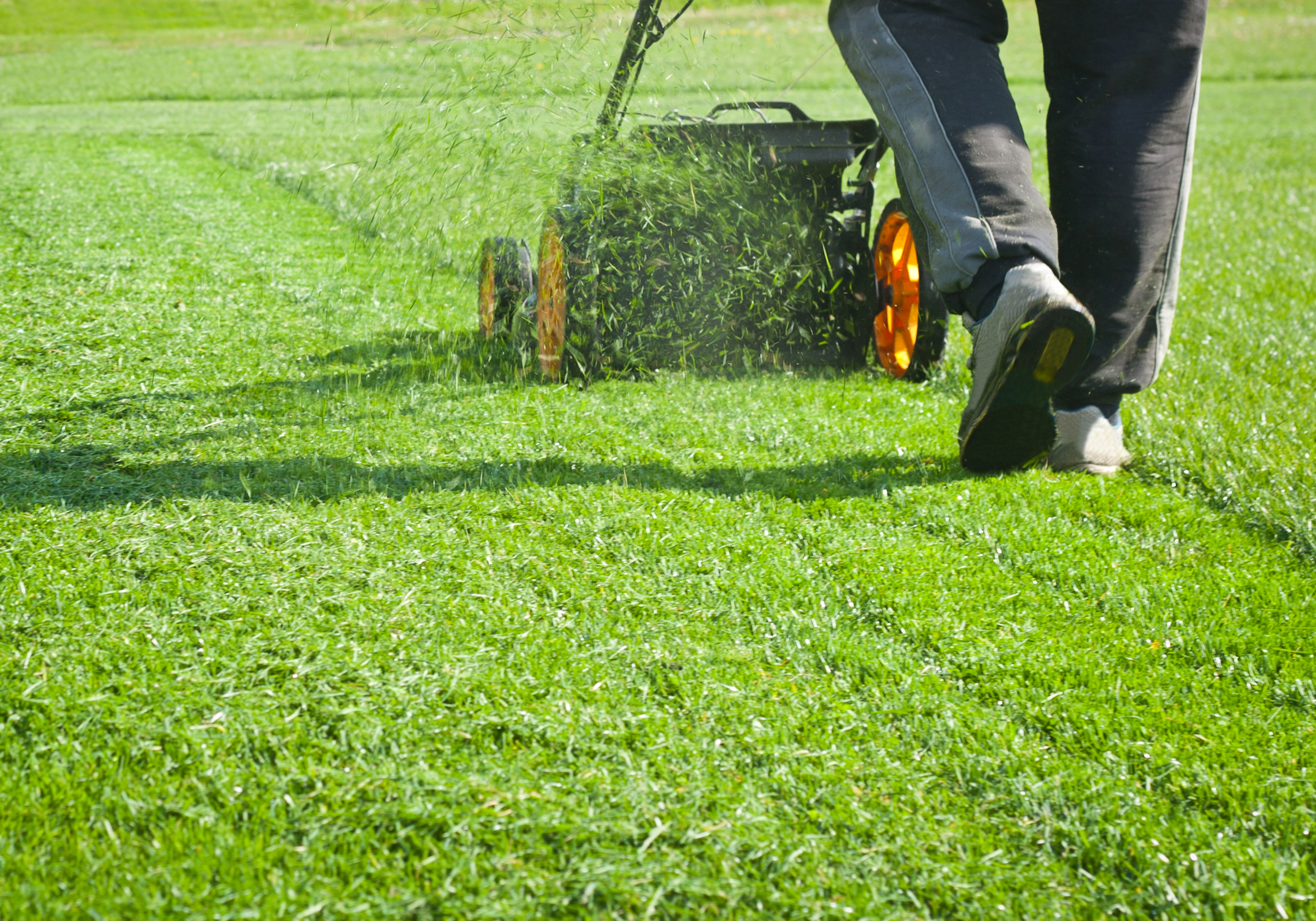 Mow the lawn. Стрижка газона. Газонокосилка на газоне. Косить газон. Покос газона.